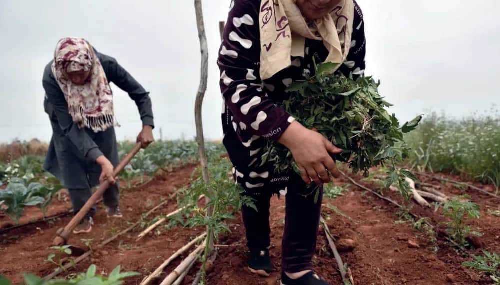 Pluies abondantes : un choc de croissance pour l’économie marocaine