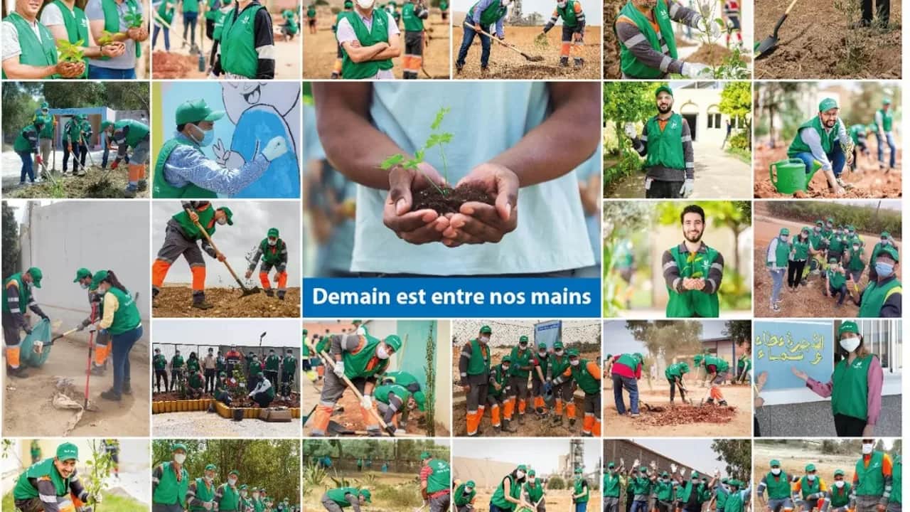 Plus de 1.000 collaborateurs de LafargeHolcim Maroc se mobilisent à l’occasion de la semaine du bénévolat