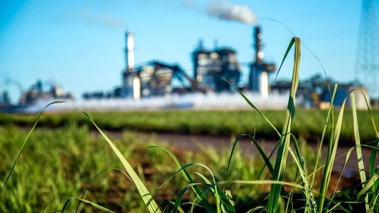 Décarbonation : sept PME marocaines sur dix déjà engagées, selon une enquête BEI/UE