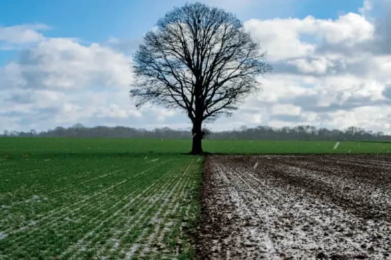 Projet de Loi de Finances 2025 : le manque de visibilité risque de biaiser les différentes hypothèses