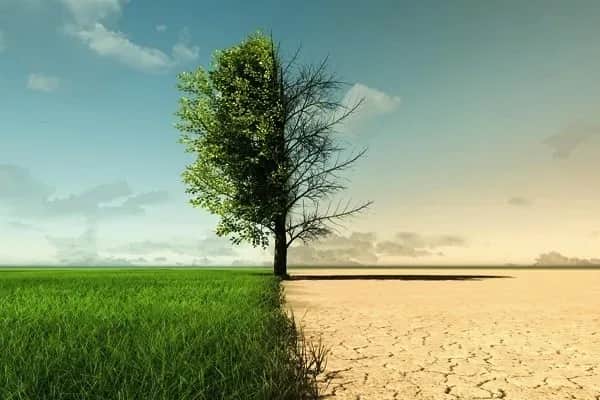Risques climatiques : la Banque centrale pose les bases d’une supervision verte