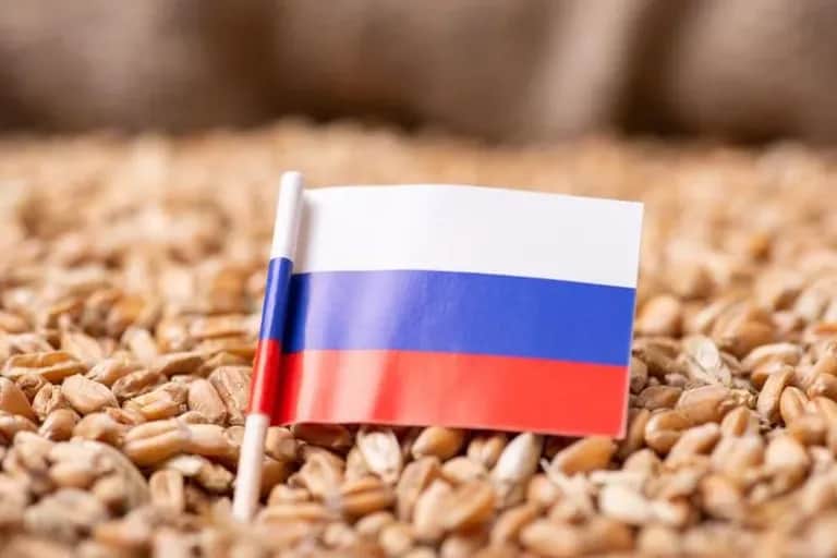 La Russie suspend les exportations de blé dur pour une période de six mois