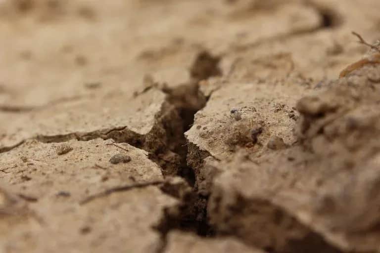 Sécheresse : les exploitants agricoles sortent le plan B