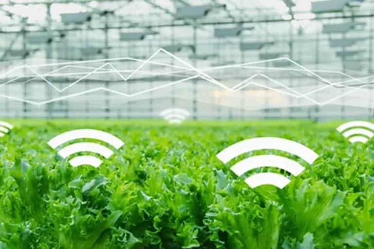 Smart Agriculture, une nouvelle technologie au profit des exploitants marocains