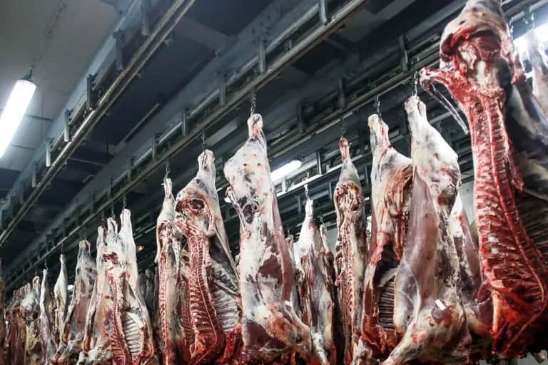 Viande rouge : le Ramadan ravive la fracture alimentaire