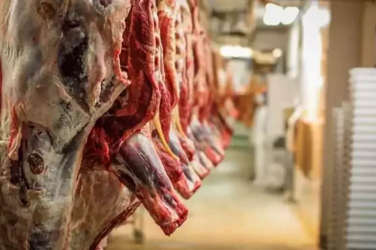 Viandes rouges et blanches : de la ferme à l'assiette, mais à quel prix ?