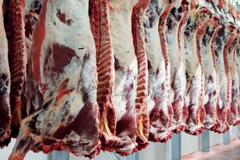 Viandes rouges : scepticisme autour des importations
