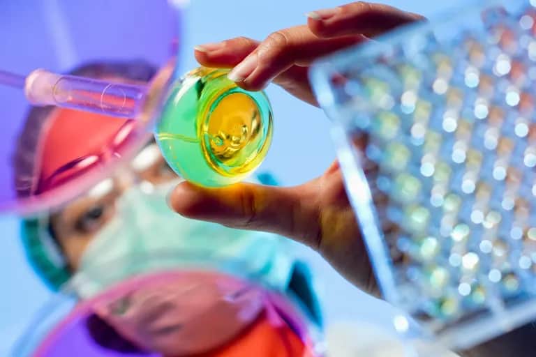 Vibe Media: "le Maroc deviendra une plateforme de biotechnologie de premier plan à l’échelle mondiale"