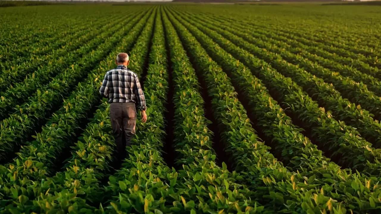 Vieillissement de la population : quels risques pour l’agriculture nationale ?