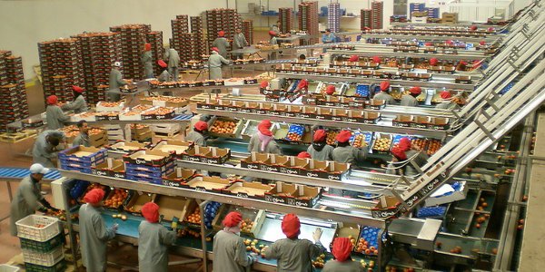 contrat programme agro industrie Maroc 2017