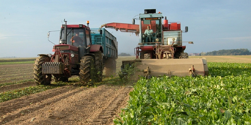 Le Maroc dans le Top 5 des champions de l'Agriculture en Afrique