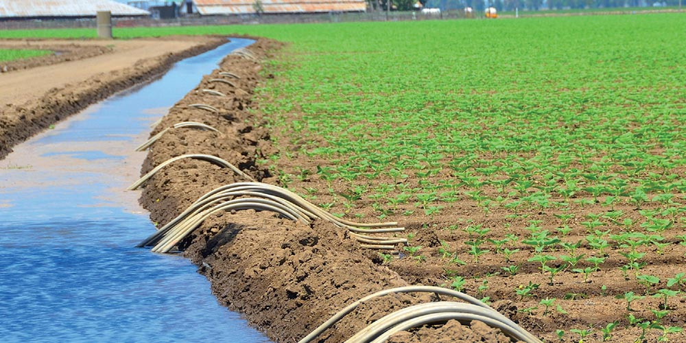 Eau potable et agriculture : Les financements se multiplient