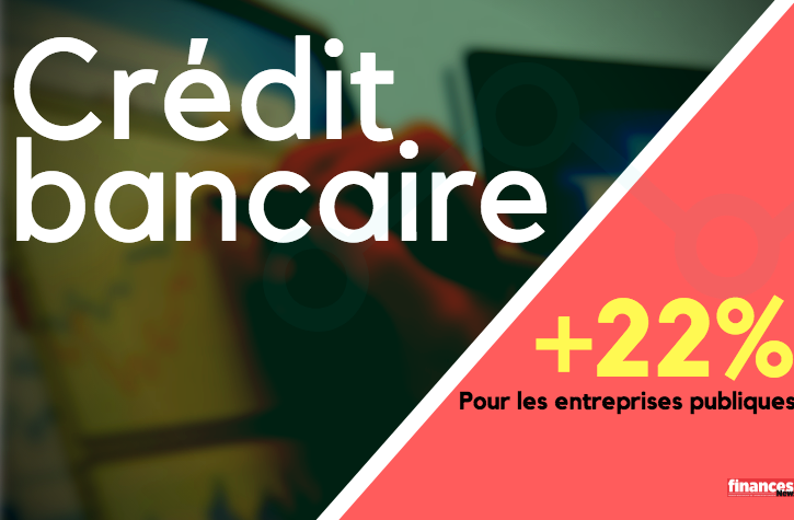 Crédit bancaire : hausse spectaculaire des prêts aux entreprises publiques