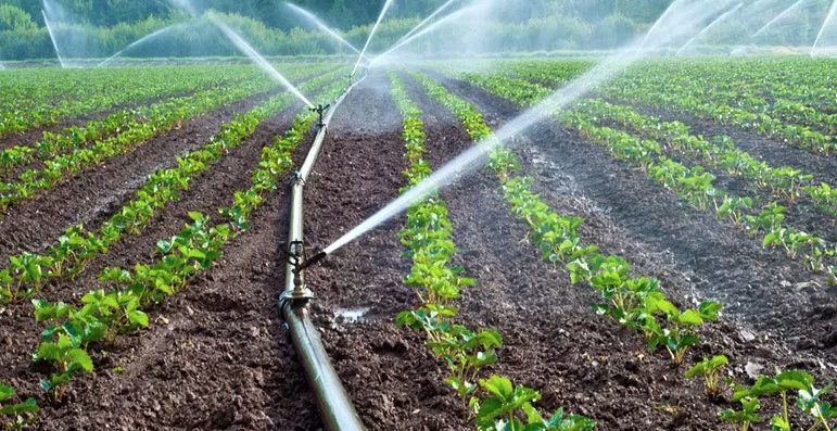 Creusement de puits : un casse-tête pour les exploitants agricoles