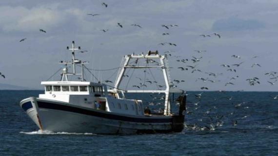 Maroc – UE : "L'Accord de pêche valide, mais pas applicable au Sahara"