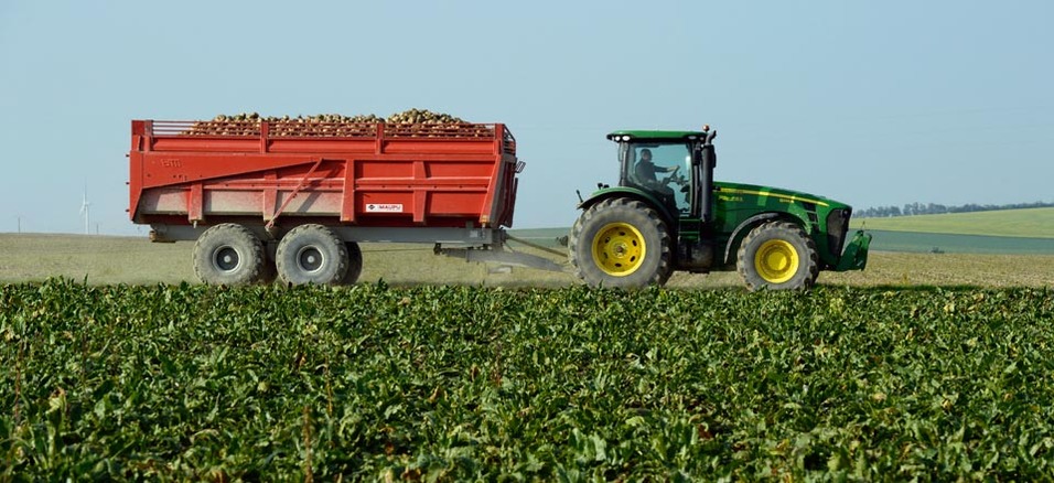 Campagne sucrière 2017-2018 : rendement record dans le Gharb