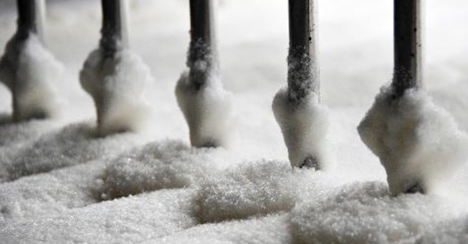 Sucre. Les fondamentaux du marché mondial