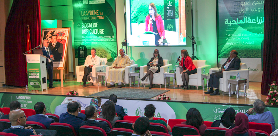 Clôture à Laayoune du 1er forum international sur l’agriculture biosaline