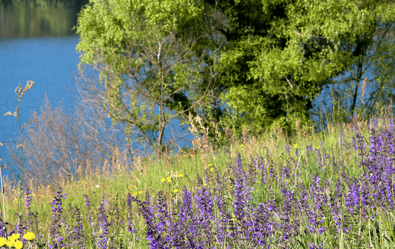 Développement durable Maroc : La protection de la Biodiversité