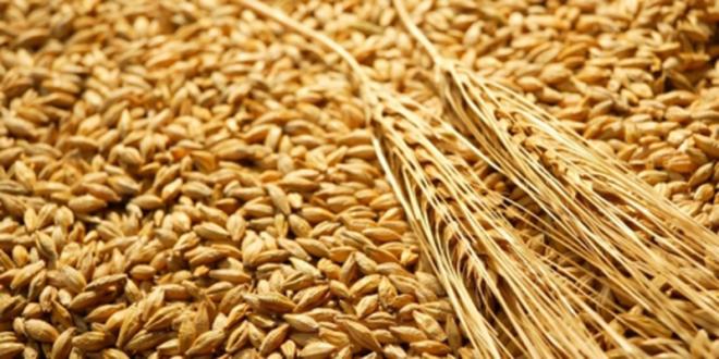 Économie Maroc - Akhannouch lance une nouvelle campagne agricole