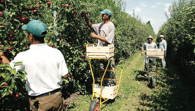 Hausse du SMAG : Quels impacts sur le secteur agricole ?