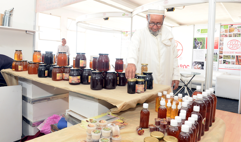Mezouar appelle à la mise en place d'un fonds d'investissement pour la filière Bio