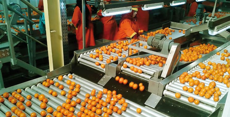 Actualité Économique - Agroalimentaire : Les exportations en hausse