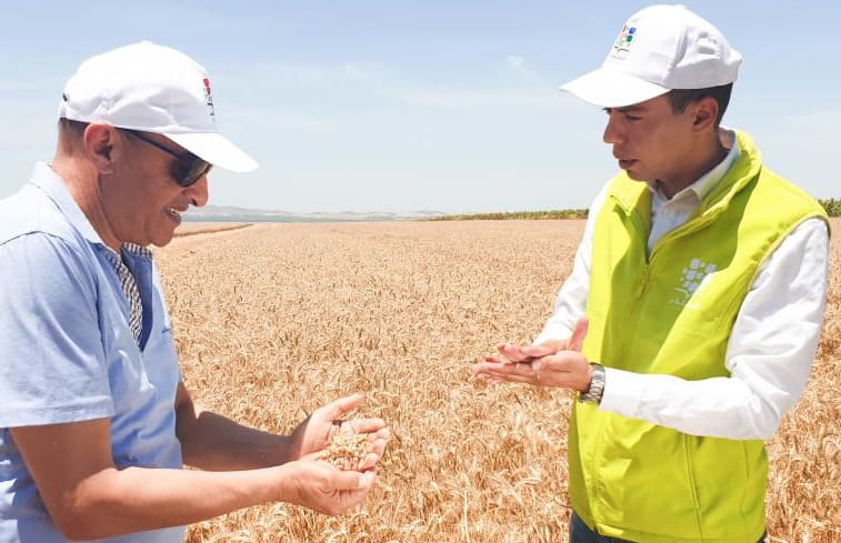 Comment l’OCP booste les rendements ? - Info Économique Maroc