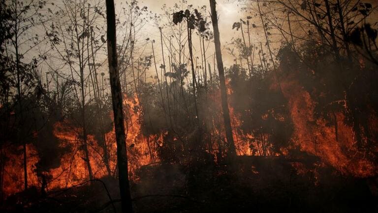 Amazonie: Le Brésil accepte l'aide internationale - Actualité Économique