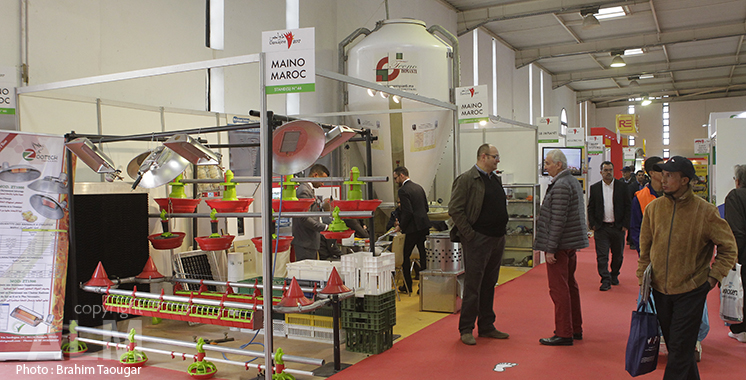 Salon Dawajine, du 26 au 28 novembre à Casablanca