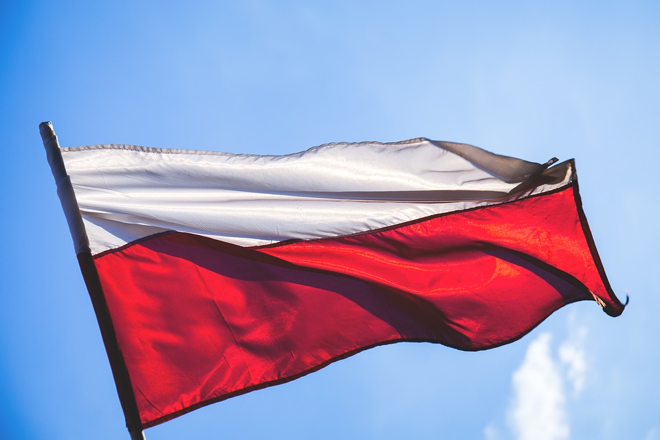 La Pologne va acheter 32 avions de combat américains pour 4,6 milliards de dollars