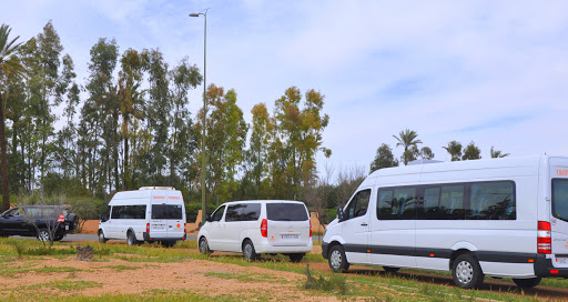 Commission des transports : 316 autorisations de transport touristique attribuées