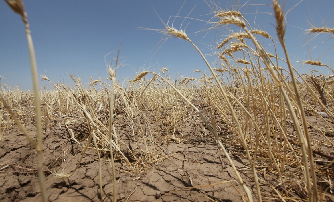 Le changement climatique, moteur de migration forcée en Afrique