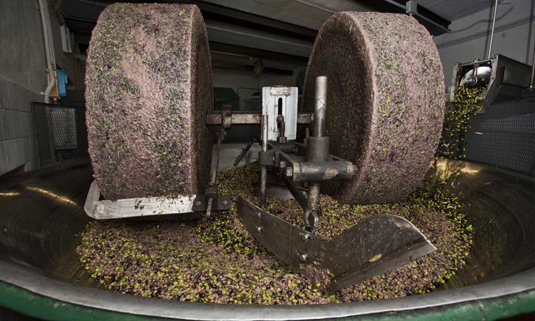 Dernière ligne droite pour la stratégie de valorisation de la biomasse