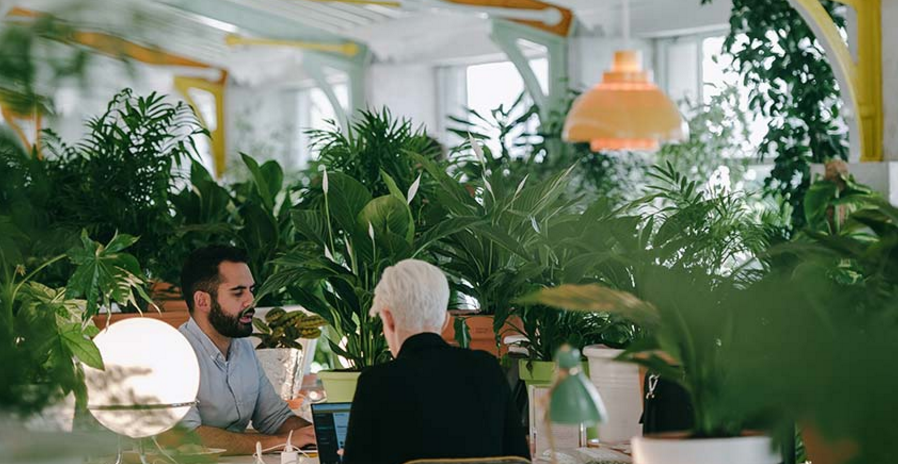 Ecostart: 50 entrepreneurs ciblés