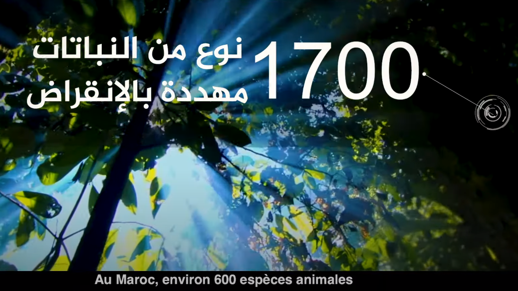 Film sur la biodiversité et les services écosystémiques