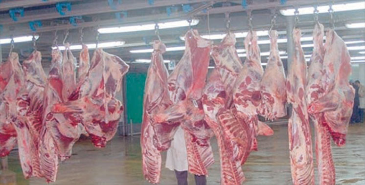 Aid Al-Adha : Un service d’abattage aux abattoirs de Casablanca