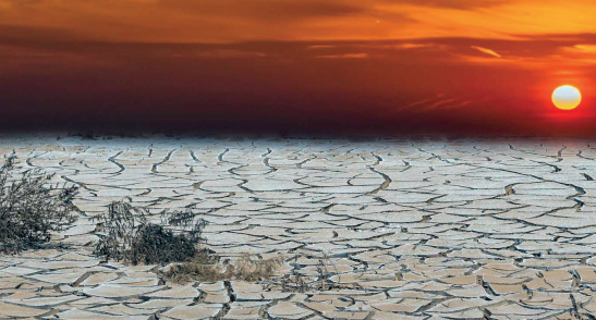 Plans de relance : Plaidoyer en faveur de l’urgence climatique