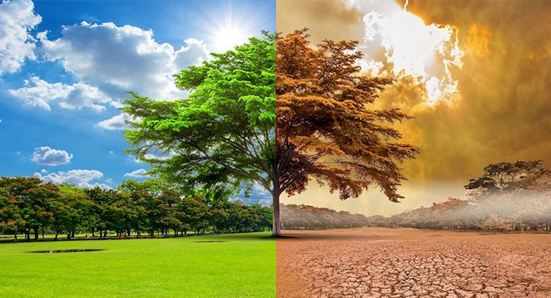 Crise climatique et destruction de la planète : Deux principales préoccupations au niveau mondial
