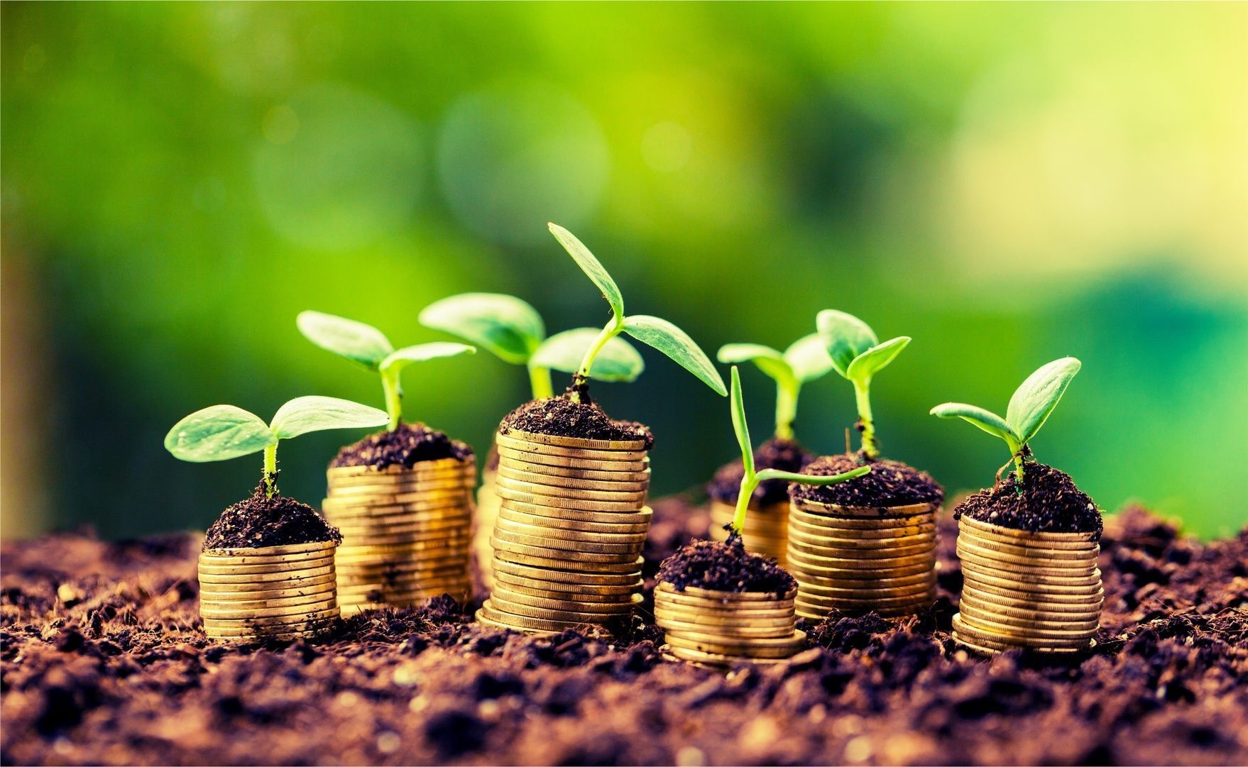 Financement vert: un système à revigorer