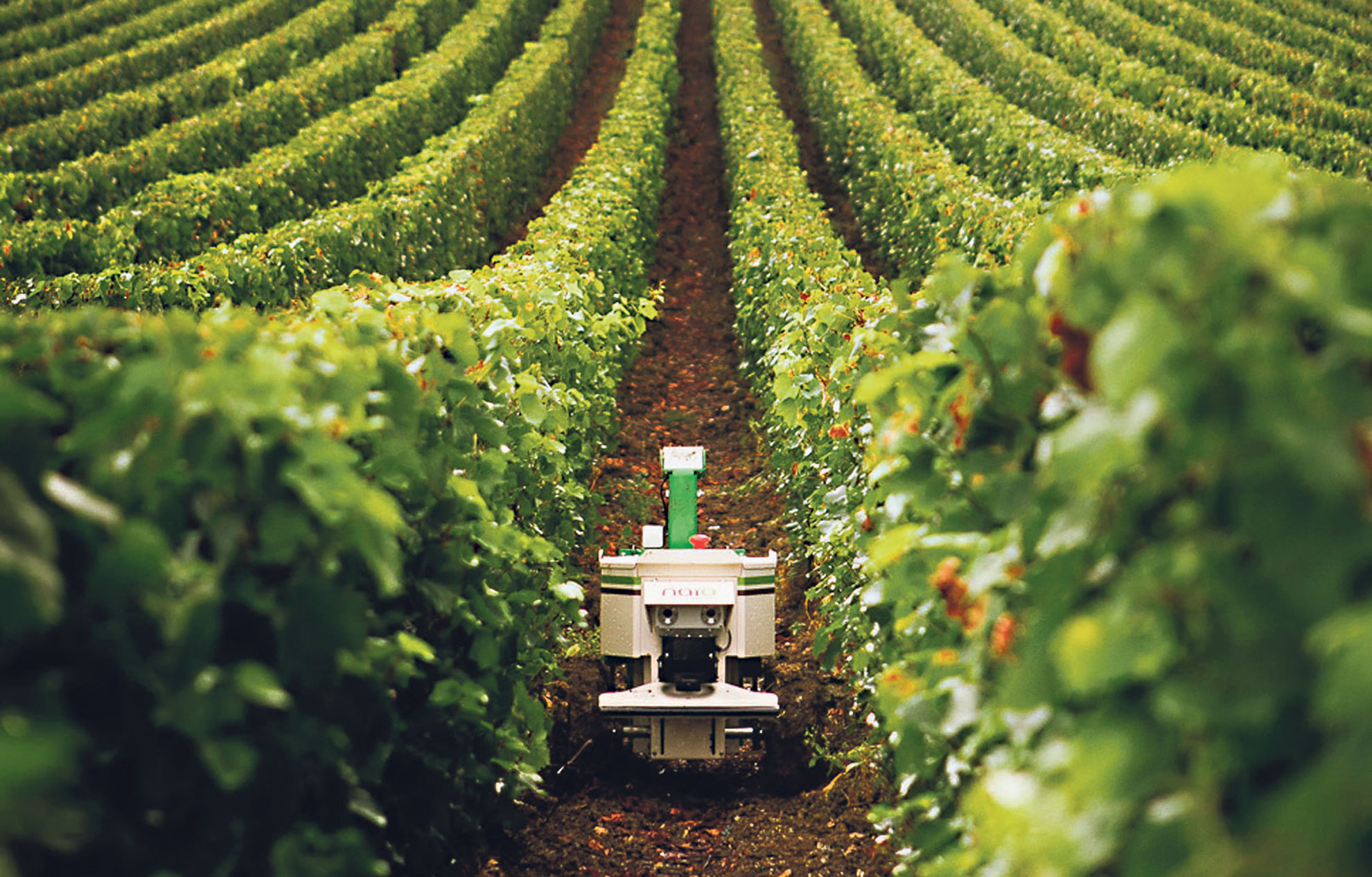 Agriculture du futur: place à la technologie pour améliorer le rendement