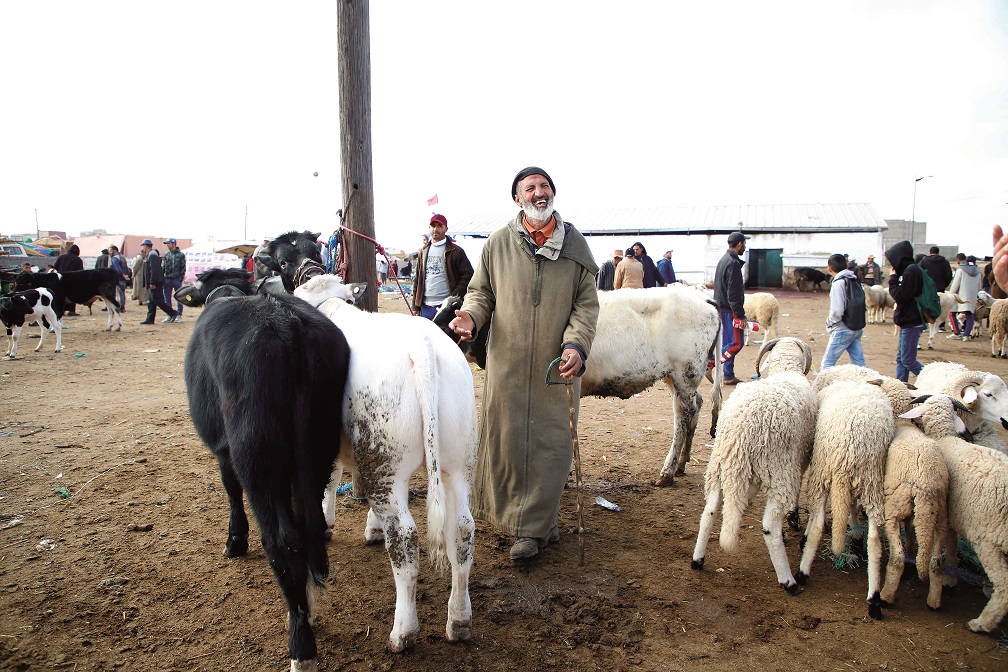 Monde rural: les paysans face au diktat de la sécheresse