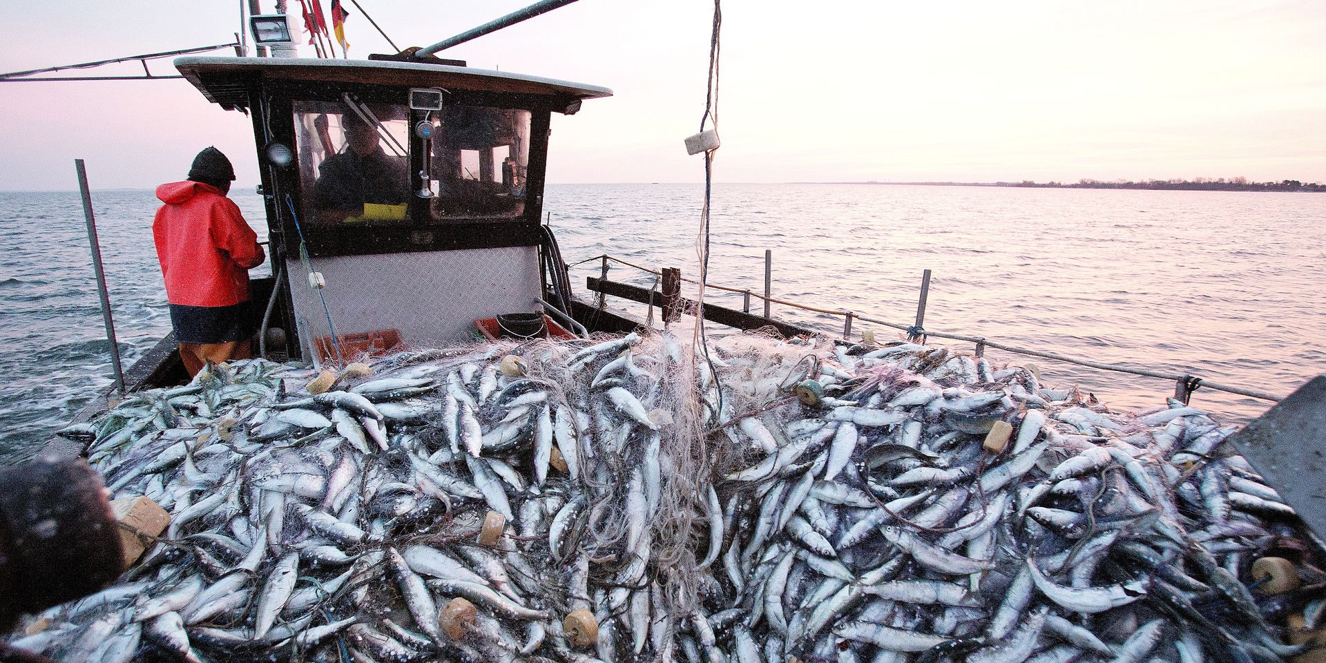 La FPM et la CNSS discutent d'un statut social particulier pour les marins pêcheurs