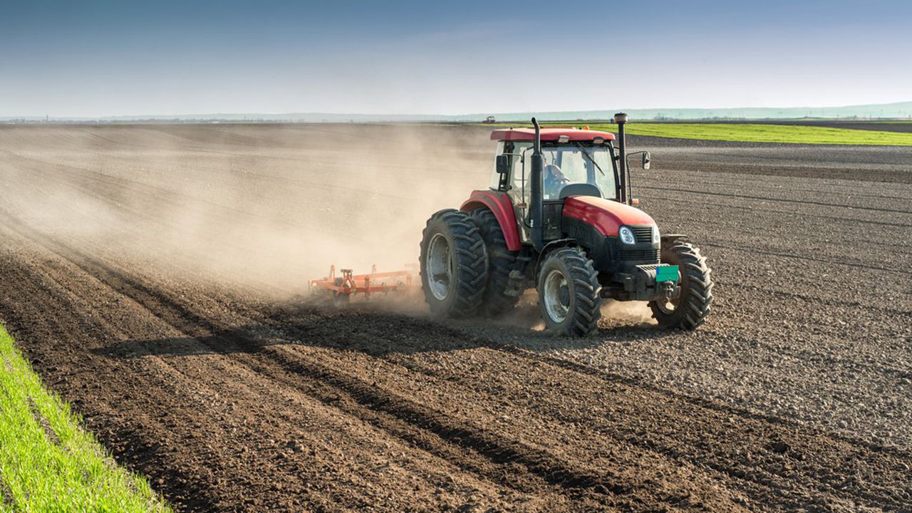 Région Fès-Meknès: lancement de la campagne agricole 2022-2023