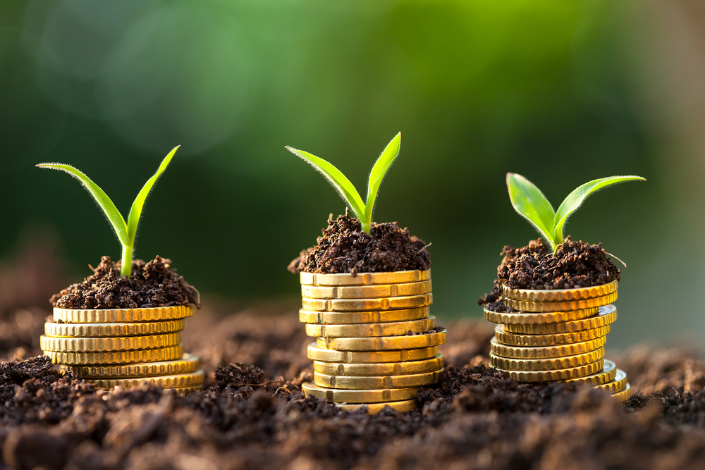 Climate Finance Readiness Index: le Maroc en tête des pays du Maghreb