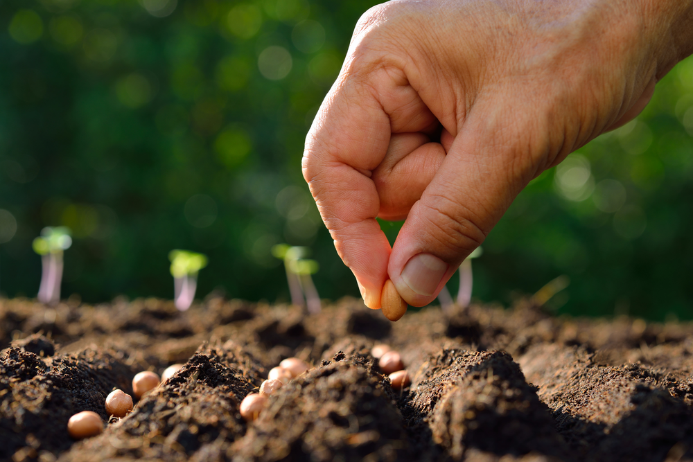 AGRICULTURE: CHANGER DE PARADIGME