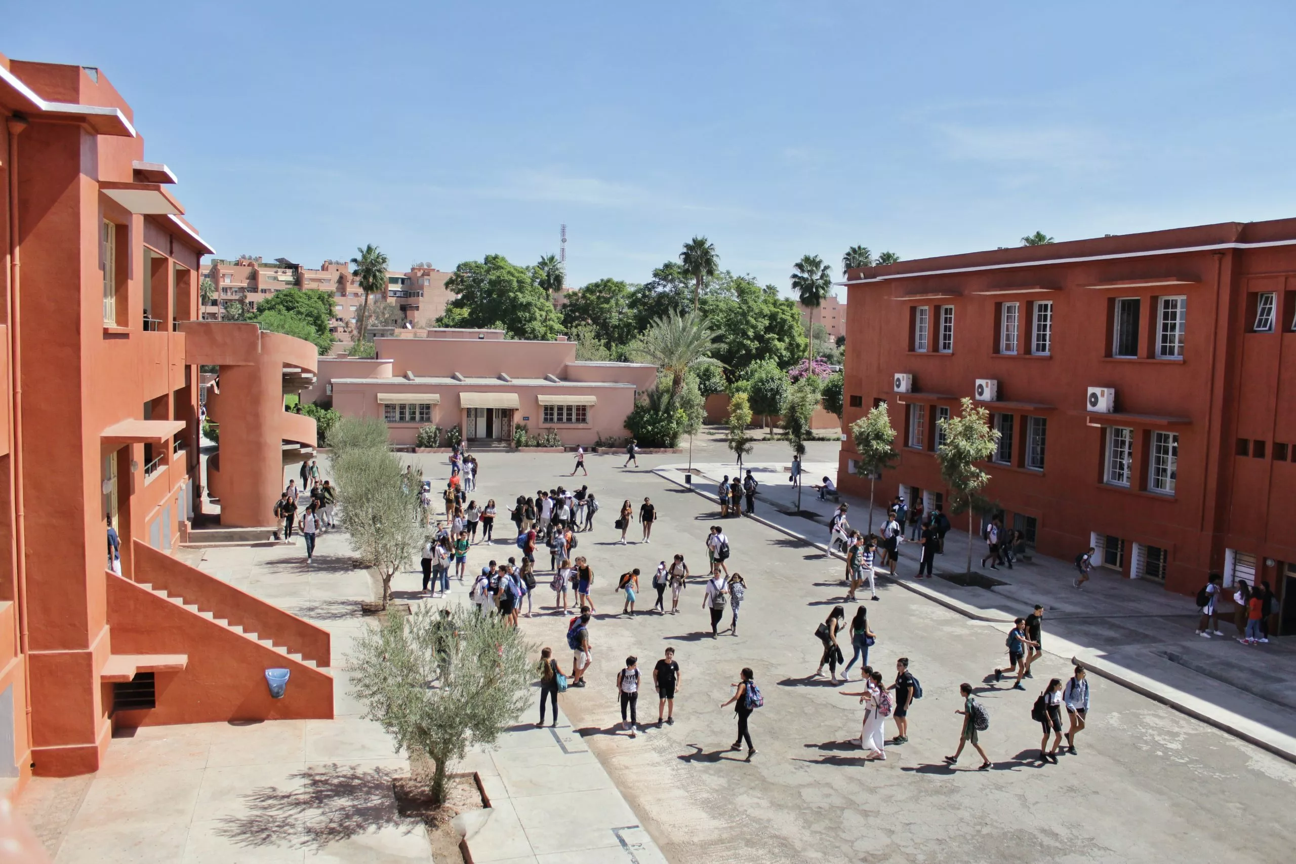 Enseignement de l'Amazighe : Les écoles privées marocaines en première ligne
