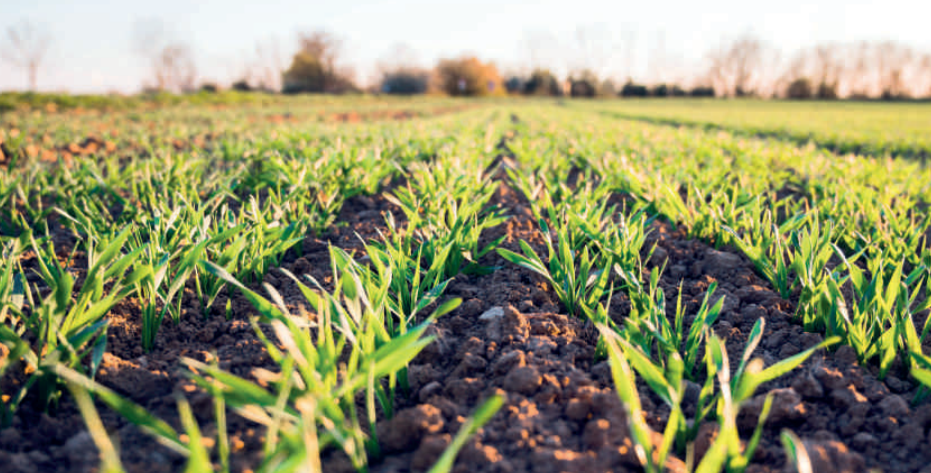 Génération Green : vers une agriculture plus verte, plus jeune et plus connectée