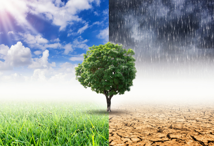 Agriculture et changement climatique : adaptation ou révolution ?