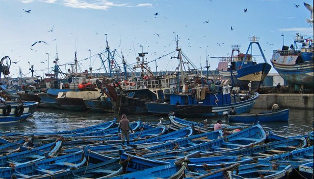 Pêche côtière et artisanale : 10,11 milliards de DH de produits commercialisés en 2025
